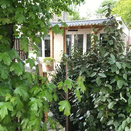 Vakantiehuis Grijs Vaal *