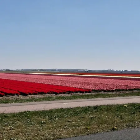 Grijs Vaal Sint Maartensvlotbrug